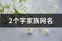 家族网名,传承与创新
