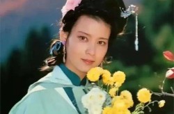 2345鸟如蘑菇 ，最美的阿诗玛杨丽坤的凄美婚姻