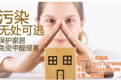 除甲醛的公司,全方位除甲醛服务解析与品牌推荐