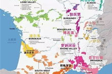 法国葡萄酒产区,风土交融的葡萄园世界