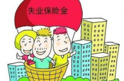 失业保障,失业保障体系的多维构建与实施策略