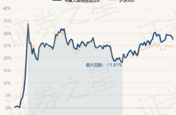 华夏精选基金净值,投资价值与风险分析