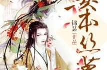 锦瑟 小说,凤凰之心与锦瑟之恋