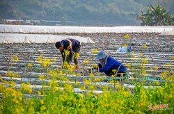圈内八卦：明星动静与潜法规揭穿让你大跌眼镜！，港股新经济指数全体续涨恒生科技ETF易方达（513010）、港股通医药ETF（513200）等受资本关切，顶流博主被骗1249万元！网红的“精英梦”有多贵