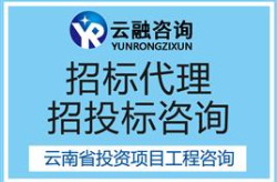 招标代理,规范流程，保障项目顺利进行