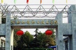 各专业分数线一览-为什么音信多了人们的头脑改变乱了？2025年考研复试分数线所自决划线高校带你明白转移！及2025考研国度线发表