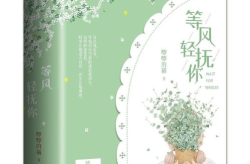 等风热吻你小说全文,许星纯与付雪梨的破镜重圆之旅