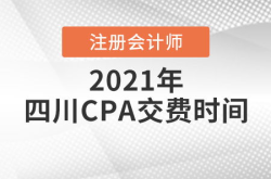 南充会计考试网,全方位解析注册会计师、会计从业资格考试动态与备考策略