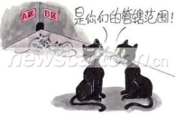 明确责任,构建高效工作环境的策略